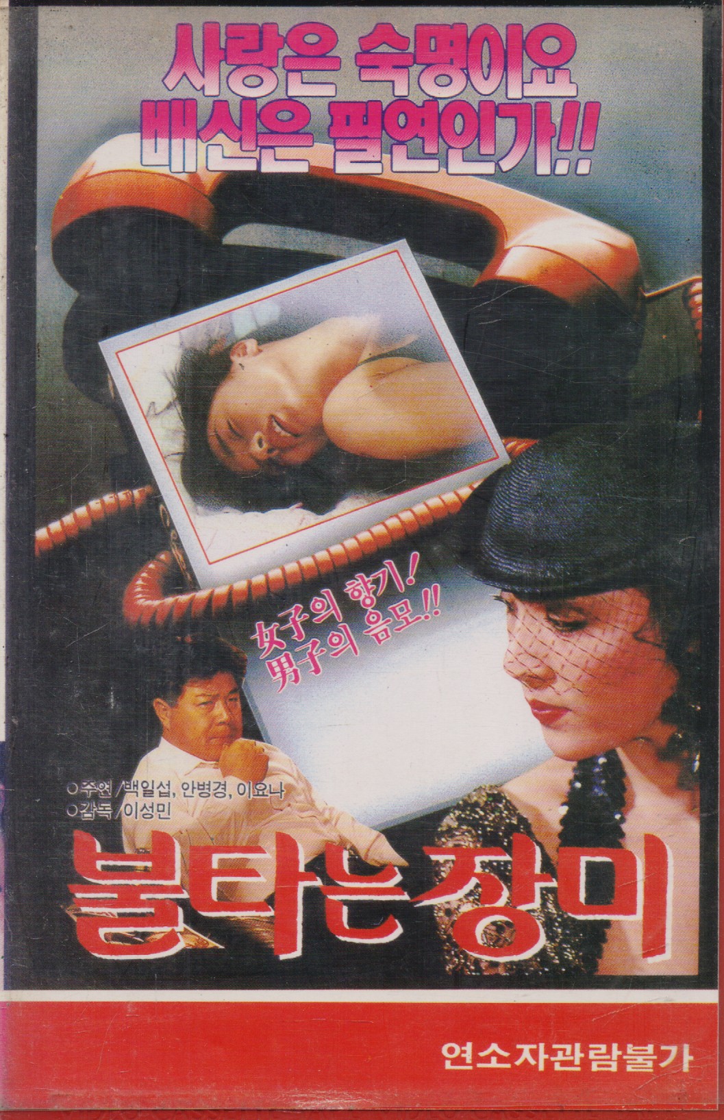 불타는 장미
