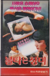 불타는 장미
