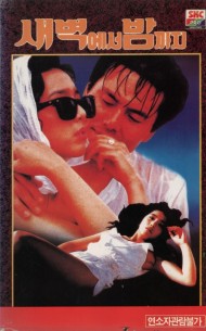 새벽에서 밤까지