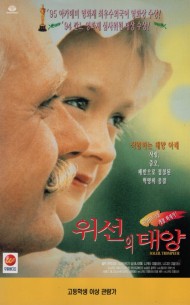 위선의 태양