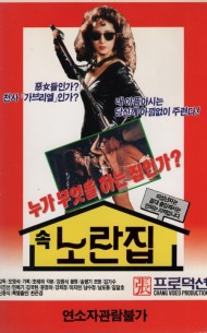 속 노란집 (옐로우 하우스)