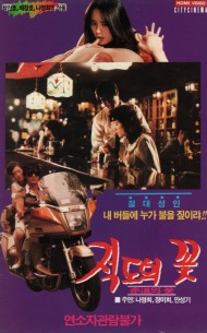 적도의 꽃