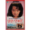 당신은 안개꽃