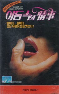 어둠속의 정사
