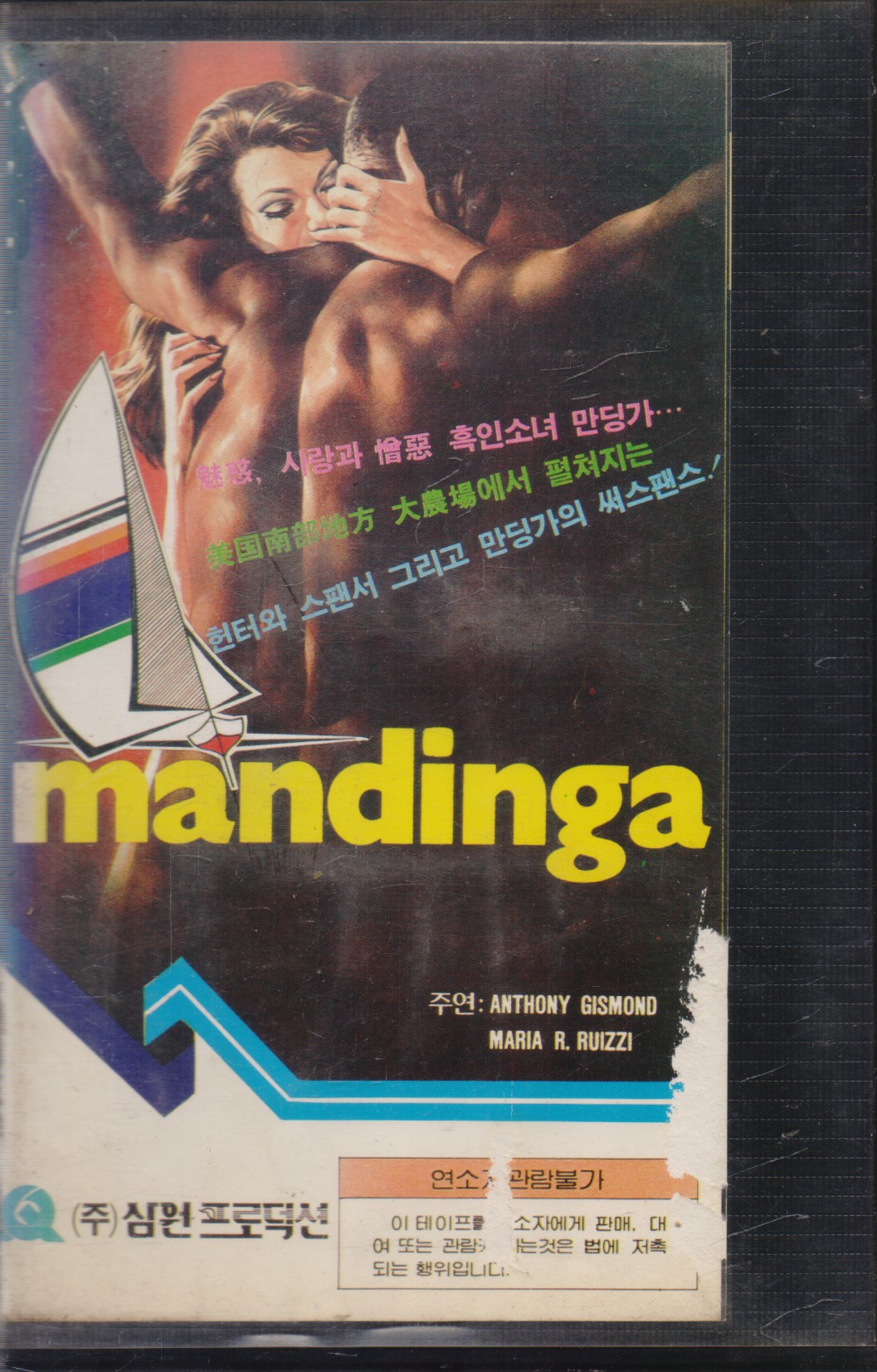 만딩가 (작은자켓)