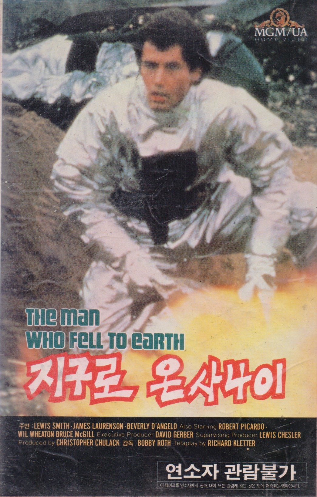 지구로 온 사나이