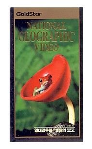 열대강우림 - 생물의 보고 : 내셔널 지오그래픽