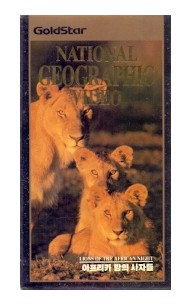 아프리카 밤의 사자들 : 내셔널 지오그래픽