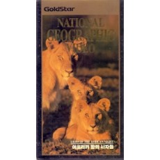 아프리카 밤의 사자들 : 내셔널 지오그래픽