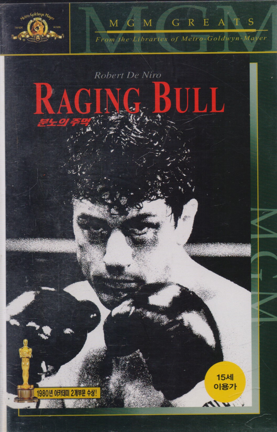 분노의 주먹 (재출시)