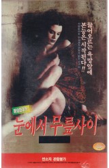 눈에서 무릎사이