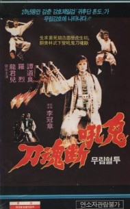 무림혈투
