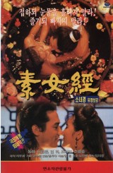소녀경 유정보감