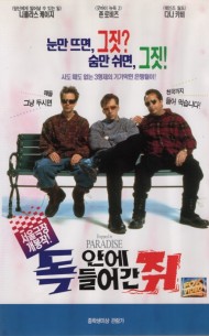 독 안에 들어간 쥐