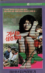 가시를 삼킨 장미